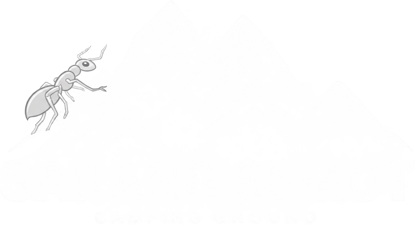 Sarang Semut Camping Ground